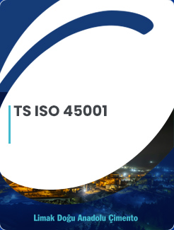 TS ISO 45001